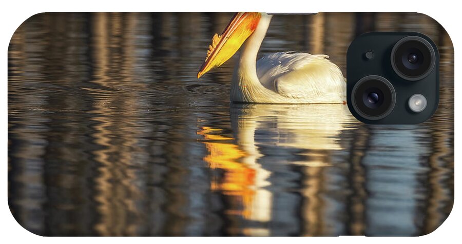 Pelican iPhone Case featuring the photograph Pelican Reflections by Darren White
