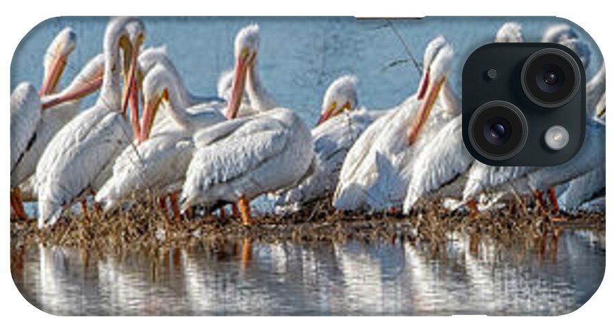 America iPhone Case featuring the photograph Pelican Squadron by Charles Dobbs