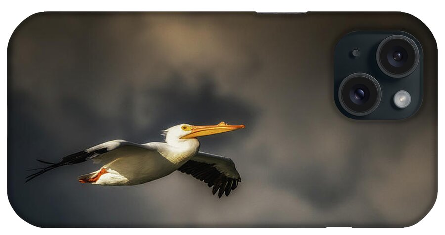 Animal iPhone Case featuring the photograph Pelican Sunset Flight by Framing Places