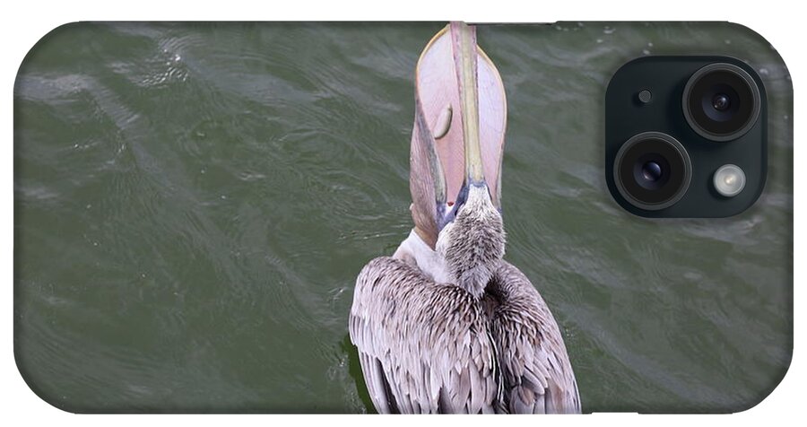 Pelicans iPhone Case featuring the photograph Pelican's Large Throat Pouch by Mingming Jiang
