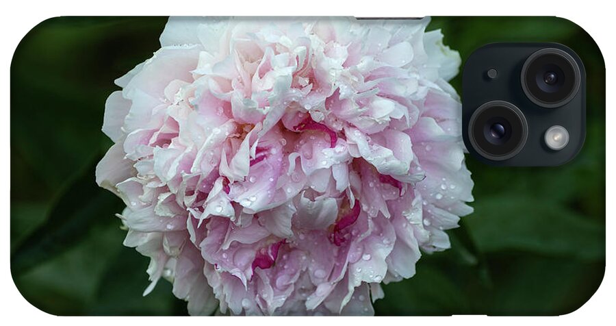 Peonies iPhone Case featuring the photograph Peony 1-2021 by Thomas Young
