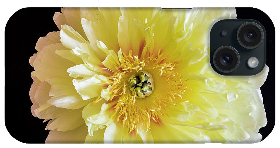 Flowers iPhone Case featuring the photograph Peony by David Lee