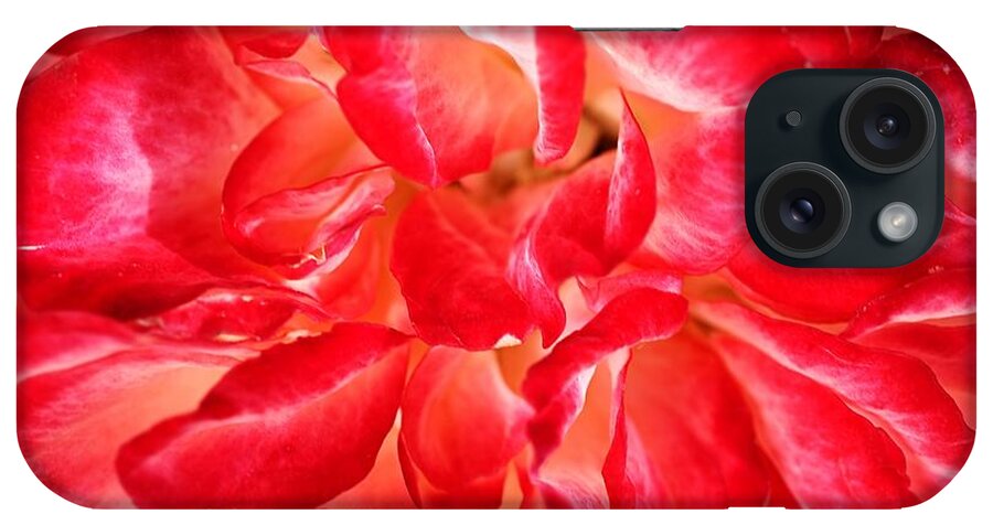 Joy Watson iPhone Case featuring the photograph Petals Of Rose by Joy Watson