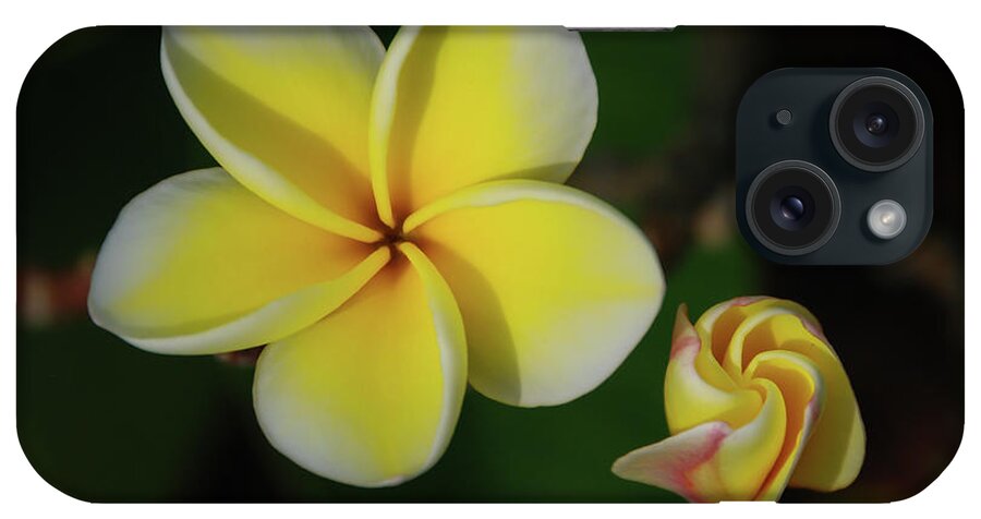 Big Island iPhone Case featuring the photograph Phases of Plumeria Blossoms by Nancy Gleason