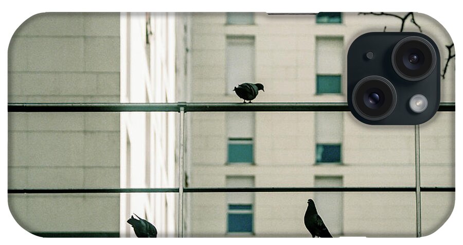 Pigeons iPhone Case featuring the photograph Pigeons in the matrix by Barthelemy De Mazenod