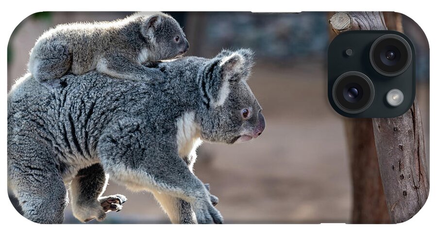 San Diego Zoo iPhone Case featuring the photograph Piggy Back Rides by David Levin