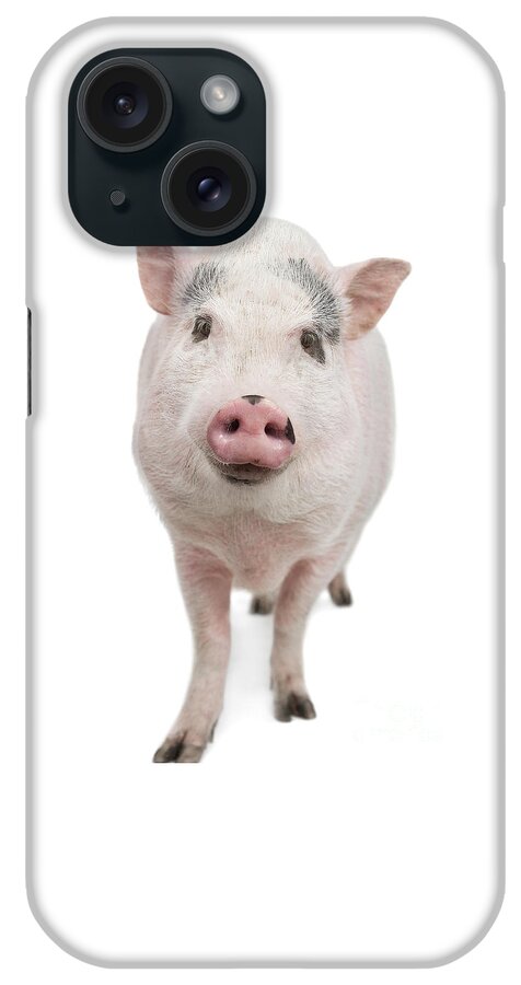 Pig iPhone Case featuring the photograph Piggy Joy by Renee Spade Photography