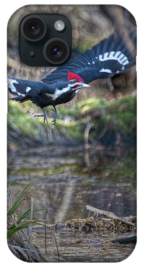 Bird iPhone Case featuring the photograph Pileated Woodpecker Takes Off-Vertical by Flinn Hackett