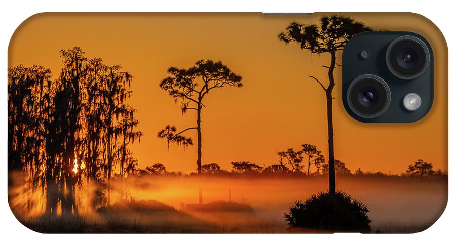 Sun iPhone Case featuring the photograph Pine and Cypress Sunrise by Tom Claud
