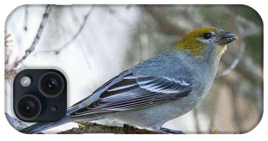 Yellowstone National Park iPhone Case featuring the photograph Pine Grosbeak in Winter - Female by Cheryl Strahl