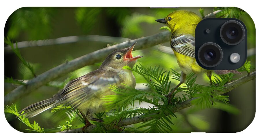 Backyard iPhone Case featuring the photograph Pine Warbler with Chick by Larry Marshall