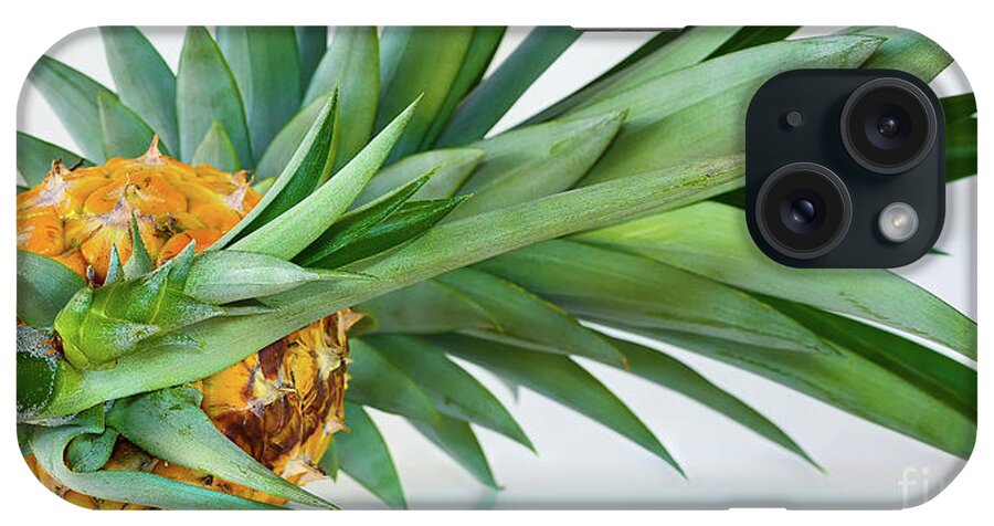 Pineapple Panorama iPhone Case featuring the photograph Pineapple Panorama by Olga Hamilton