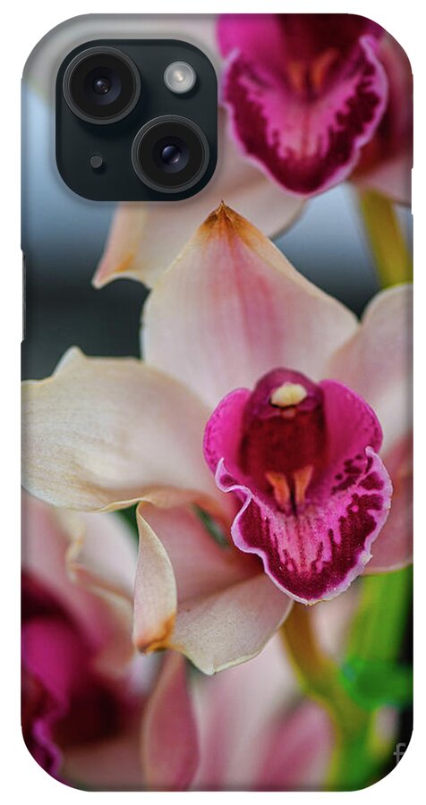 Orchid iPhone Case featuring the photograph Pink and White Cymbudium Clarisse Orchid by Abigail Diane Photography