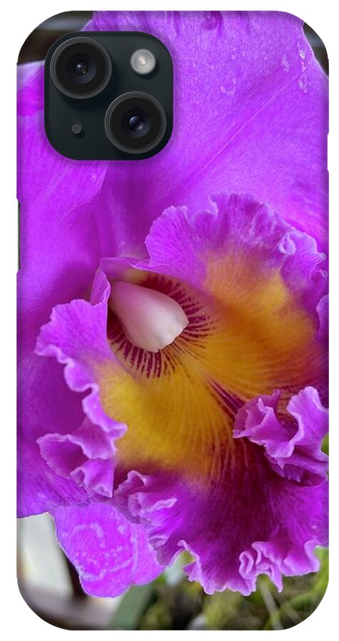 Pink Cattelaya Orchid iPhone Case featuring the photograph Pink Cattelaya orchid by Lehua Pekelo-Stearns
