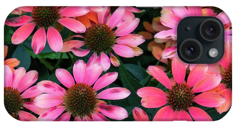 Flowers iPhone Case featuring the photograph Pink Coneflowers by Karen Smale