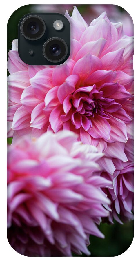 Pink iPhone Case featuring the photograph Pink Dahlias by Denise Kopko
