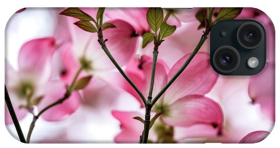 Dogwood iPhone Case featuring the photograph Pink Dogwood Tree in Spring by Ada Weyland