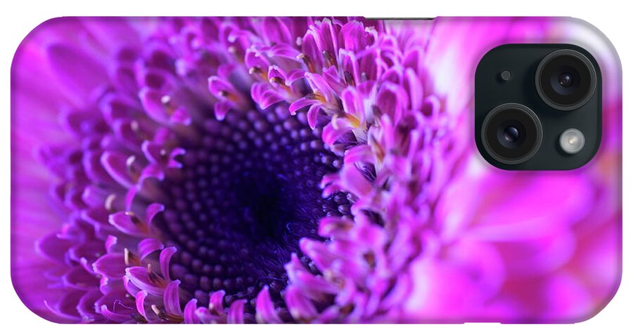  iPhone Case featuring the photograph Pink Gerber by Sue Morris