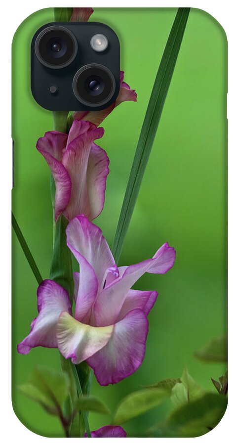 Bus iPhone Case featuring the photograph Pink Gladiolus by Ed Gleichman