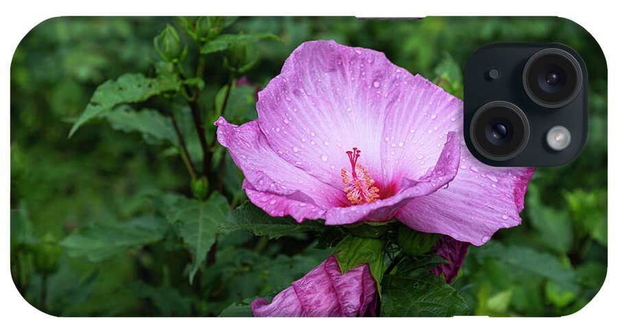 Hibiscus Rosa-sinensis iPhone Case featuring the photograph Pink Hibiscus 4-2021 by Thomas Young
