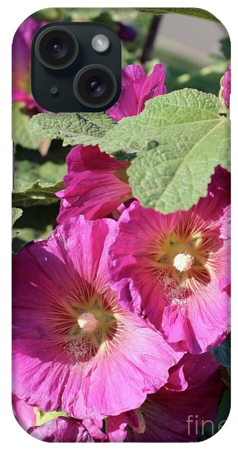Hollyhock iPhone Case featuring the photograph Pink Hollyhocks in Sunshine by Carol Groenen