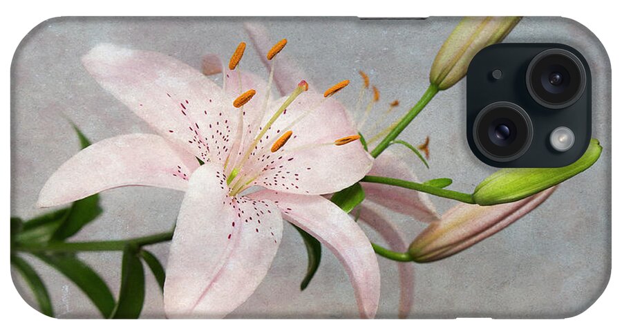 Easter iPhone Case featuring the photograph Pink Lily with Texture by Patti Deters