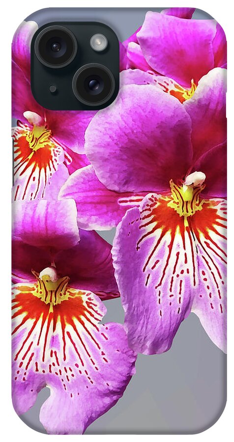 Orchid iPhone Case featuring the photograph Pink Pansy Orchids by Susan Savad