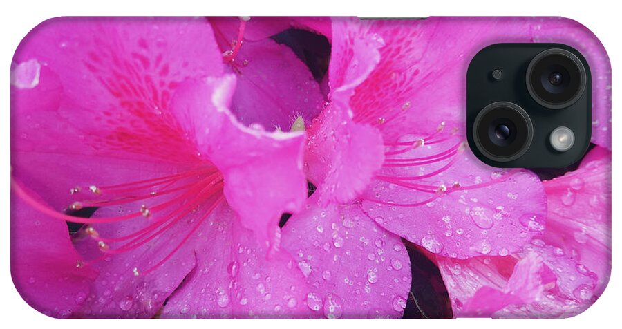 Pink iPhone Case featuring the photograph Pink Pink Pink by Robert Knight
