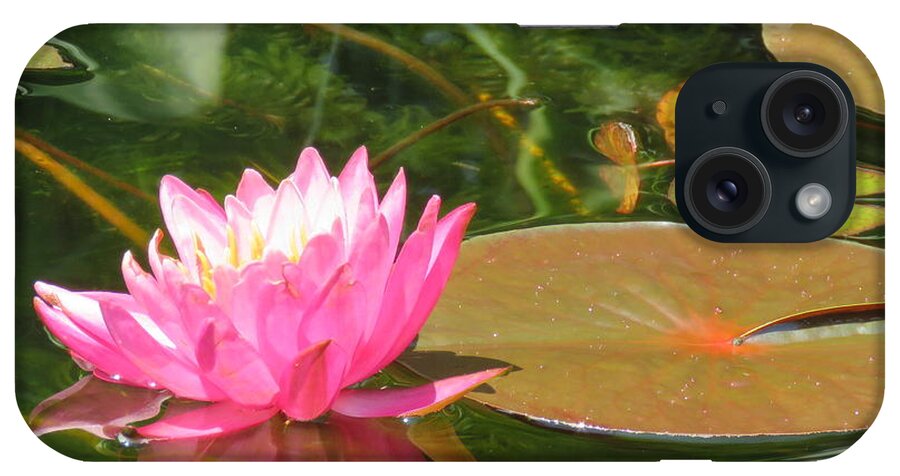 Pink Water Lily iPhone Case featuring the photograph Pink Pond Lily and Goldie by Anita Adams