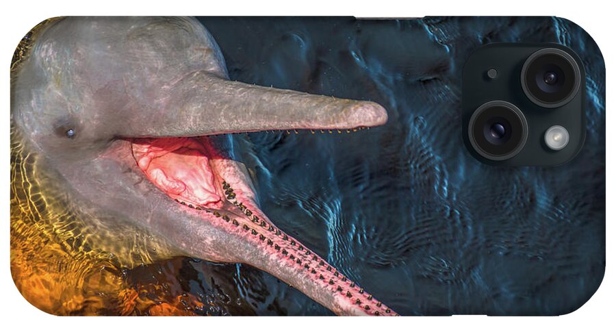 Dolphin iPhone Case featuring the photograph Pink River Dolphin by Linda Villers