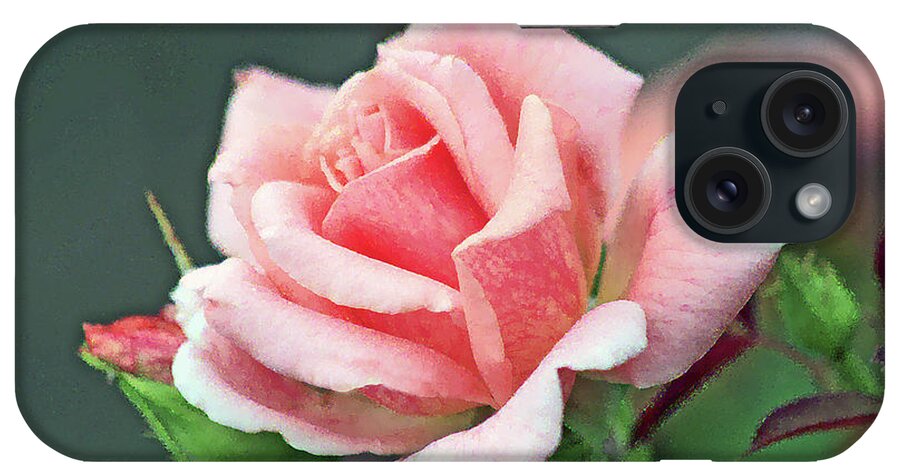 Rose; Pink; Petals; Rosebud; Flower; Close-up; Macro; Romantic; Botanical; Horizontal; iPhone Case featuring the digital art Pink Rose in Profile by Tina Uihlein