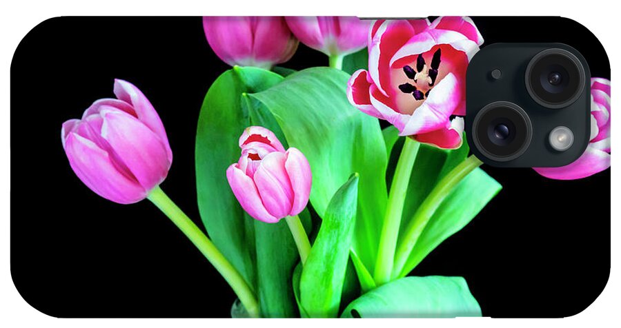 Tulips iPhone Case featuring the photograph Pink Tulips Pink Impression X100 by Rich Franco