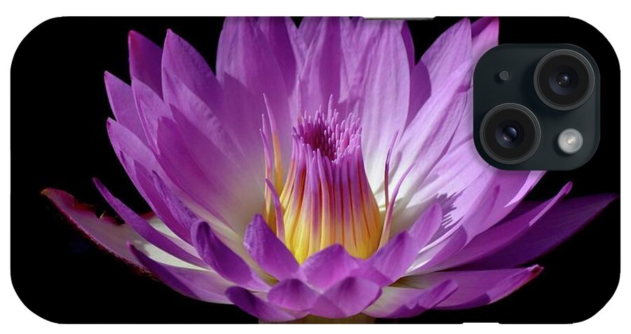 Art iPhone Case featuring the photograph The Pink Crown Waterlily by Jeannie Rhode