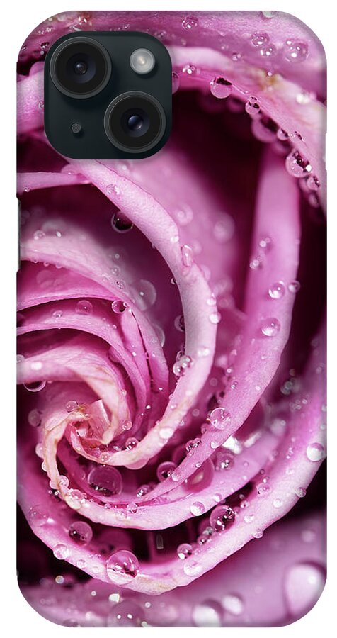 Rose iPhone Case featuring the photograph Pink Wet Rose by Jon Glaser