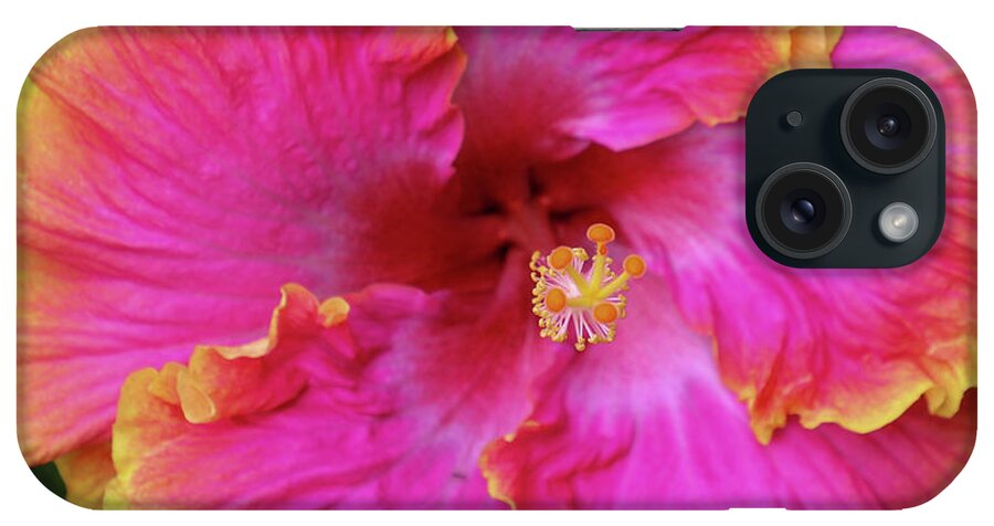 Flowers iPhone Case featuring the photograph Pinksplosion by Tony Spencer