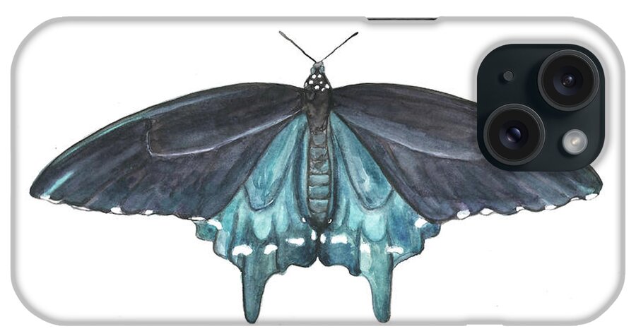 Butterfly Butterflies Florida American Pipevine Swallowtail Blue Navy Transformation Watercolor iPhone Case featuring the painting Pipevine Swallowtail Butterfly by Pamela Schwartz