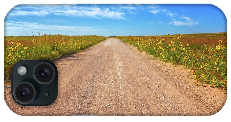 Nebraska Sandhills iPhone Case featuring the photograph Plains Sunflowers - Nebraska Sandhills by Susan Rissi Tregoning