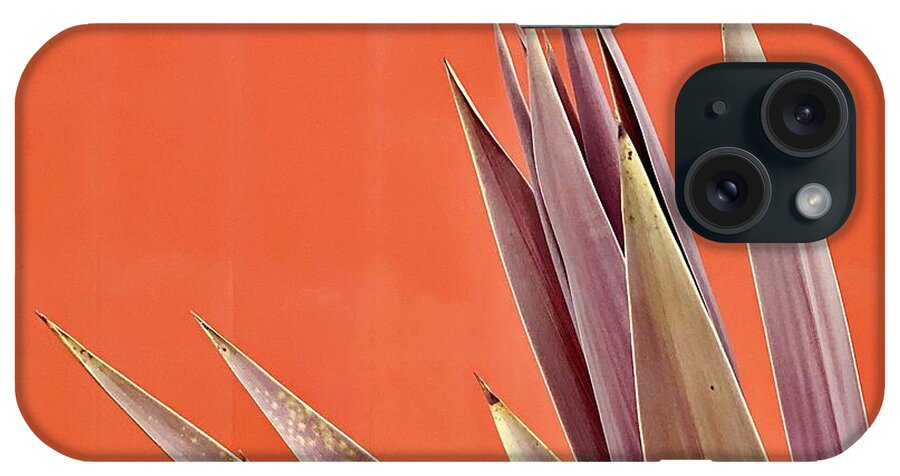  iPhone Case featuring the photograph Plant On Orange by Julie Gebhardt
