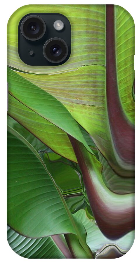 Plant iPhone Case featuring the photograph Plantflow by Linda Sannuti