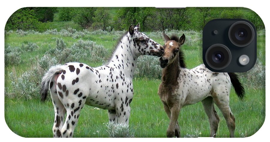 Appaloosa iPhone Case featuring the photograph Playtime by Katie Keenan