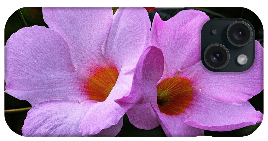 Pink iPhone Case featuring the photograph Plentiful by Doug Norkum