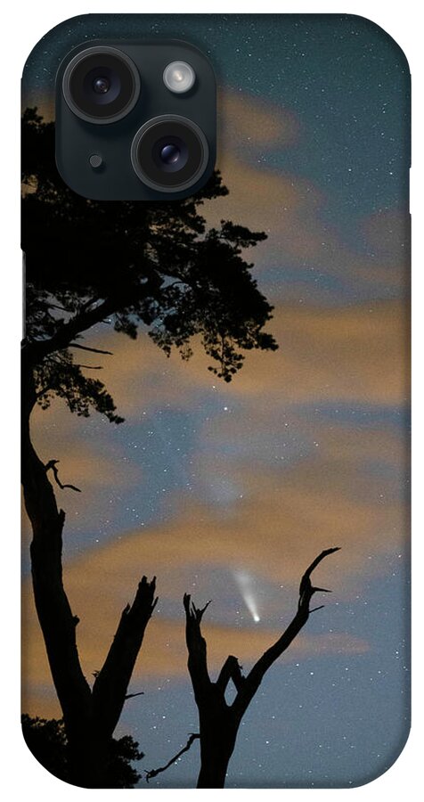 Tree iPhone Case featuring the photograph Poetry In Motion by Rob Hemphill