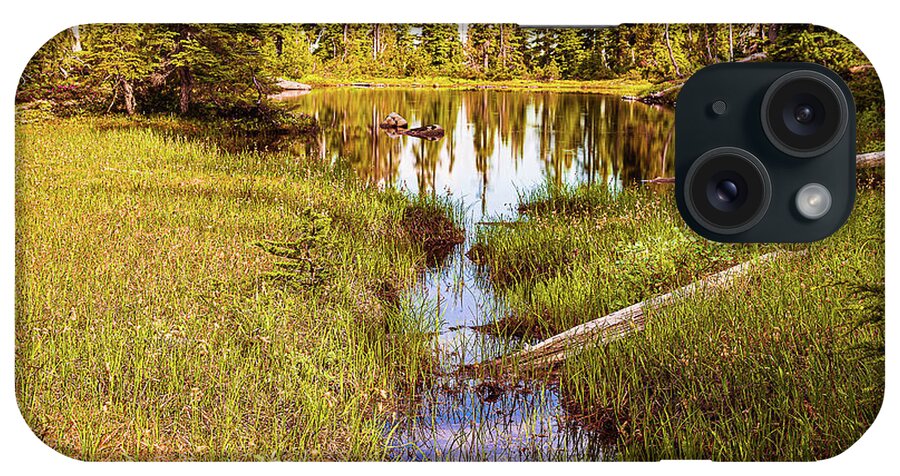 Landscapes iPhone Case featuring the photograph Pond In Alpine Country by Claude Dalley