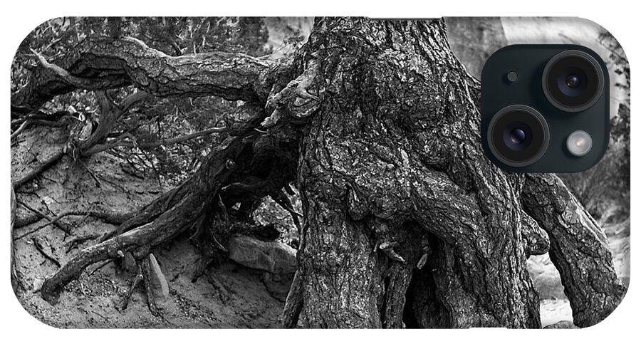 Tent Rocks iPhone Case featuring the photograph Ponderosa Pine Roots - Kasha-Katuwe Tent Rocks by Steven Ralser