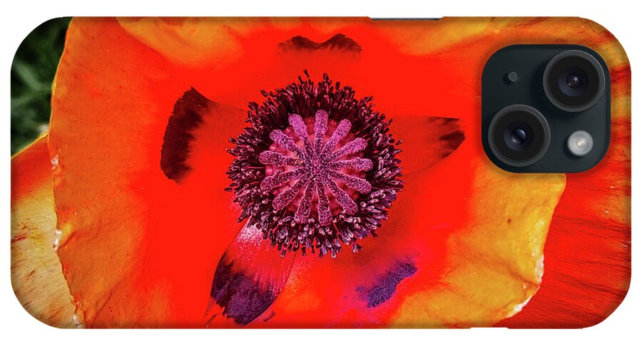 Flower iPhone Case featuring the photograph Poppy by Dan Eskelson