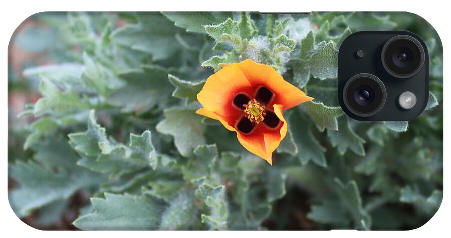 Unknown Poppy iPhone Case featuring the photograph Poppy by Doug Miller