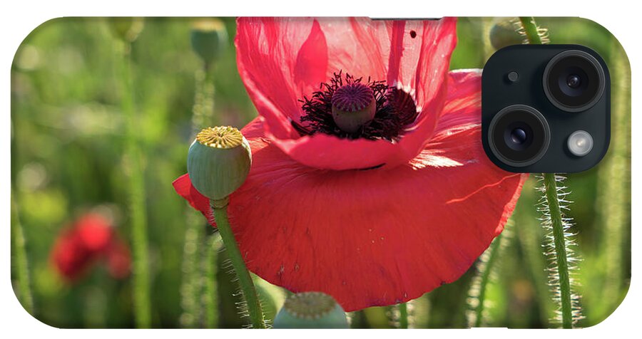 Poppy iPhone Case featuring the photograph Poppy blossom with beauty spot by Adriana Mueller