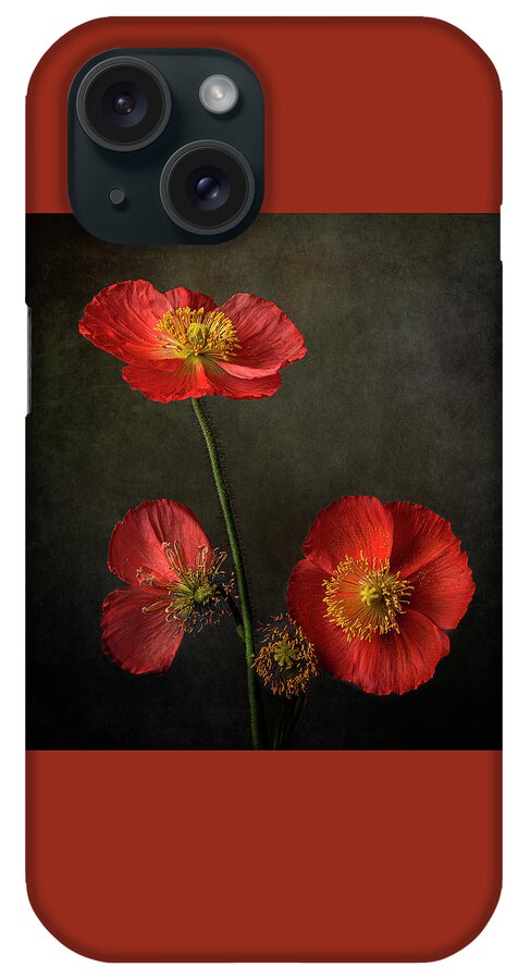 Poppy Flowers iPhone Case featuring the photograph Poppy Flowers - Circle of Life by Lily Malor