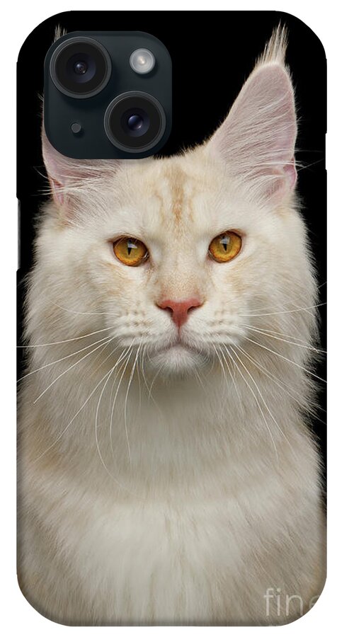 Cat iPhone Case featuring the photograph Portrait of Huge Maine Coon by Sergey Taran