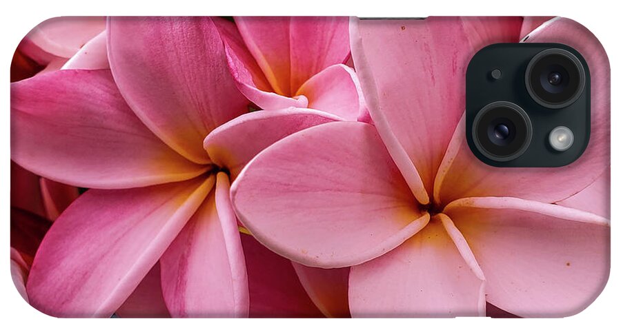 Flowers iPhone Case featuring the photograph Pretty in Pink by Tony Spencer